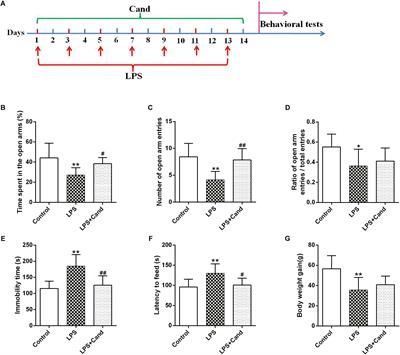 The Involvement of Renin-Angiotensin System in Lipopolysaccharide-Induced Behavioral Changes, Neuroinflammation, and Disturbed Insulin Signaling